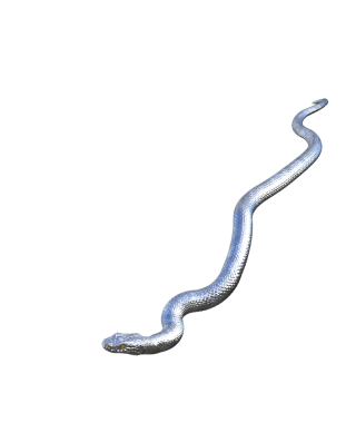 Metal Yılan miti gümüş pullar