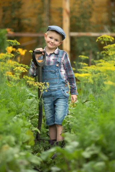 assistant boy in denim overalls, boots and cap standing in the garden with a shovel in the beds