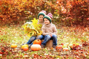 Sonbahar parkında kazaklı, kot pantolonlu ve spor ayakkabılı iki kardeş balkabağının yanında bir sepetin üzerinde oturuyorlar ve ellerinde sarı yapraklardan oluşan bir elma ve sonbahar buketi tutuyorlar.