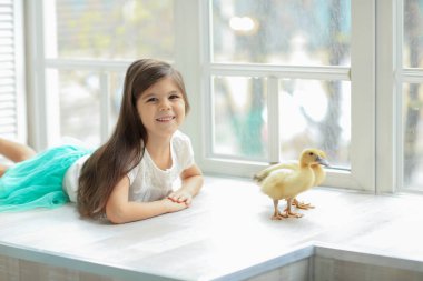 Pencerenin kenarında oturan esmer bir kız küçük sarı ördek yavrularıyla oynuyor.)