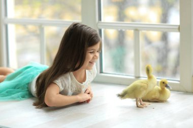 Sarı yavru kuşla oynayan tatlı esmer kız (ördek, tavuk, kaz). Çocuklar ve hayvanlar. Paskalya