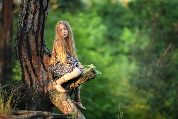 森の木の上に座っているドレスを着た金髪の長い女の子を夢見て — ストック写真