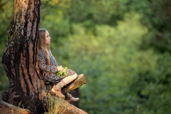 Мечтающая Девушка Длинными Светлыми Вьющимися Волосами Платье Сидящее Лесу Ветке — стоковое фото