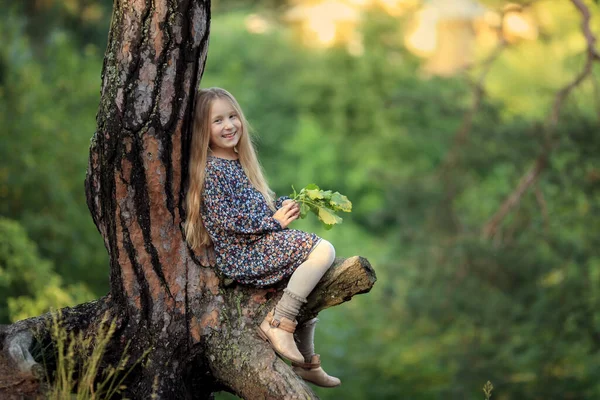 陽気で笑う少女で長い巻き毛の金髪森の木の上に座っているドレスを着て — ストック写真