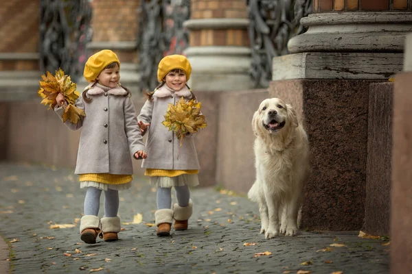 Deux Sœurs Jumelles Manteau Bérets Jaunes Amusent Avec Leur Chien — Photo