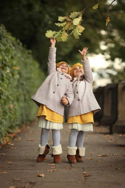 Two little sister sisters are having fun in the park. Family city walks in the autumn