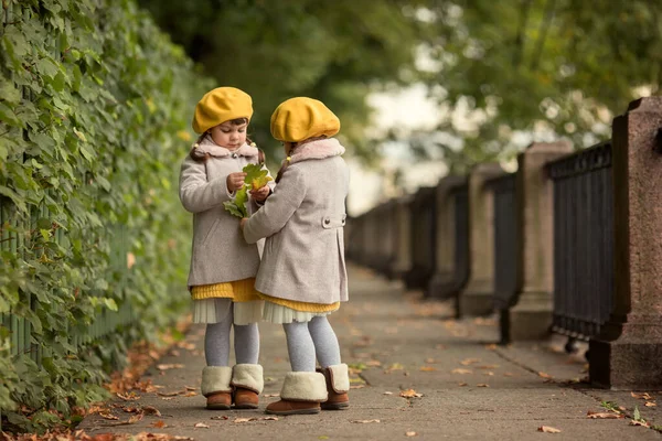 秋の公園で穏やかな葉を拾う子供たち — ストック写真