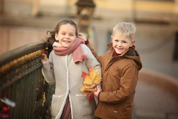 明るい少年は サンクトペテルブルクの橋の上に立つ秋のコートやスカーフで長い髪の少女に葉の花束を与えます 髪に風 — ストック写真