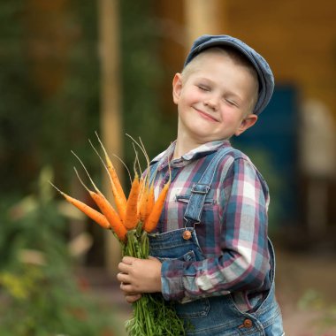 Kot pantolonlu bir çocuk ve bahçede havuçlu bir kürekle birlikte kep fiyatları. Küçük bahçıvan.