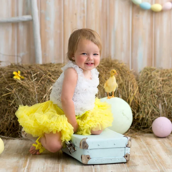 A sweet little girl in a yellow skirt plays with a chicken at a haystack. The concept of children with animals. Studio. Easter, children and animals