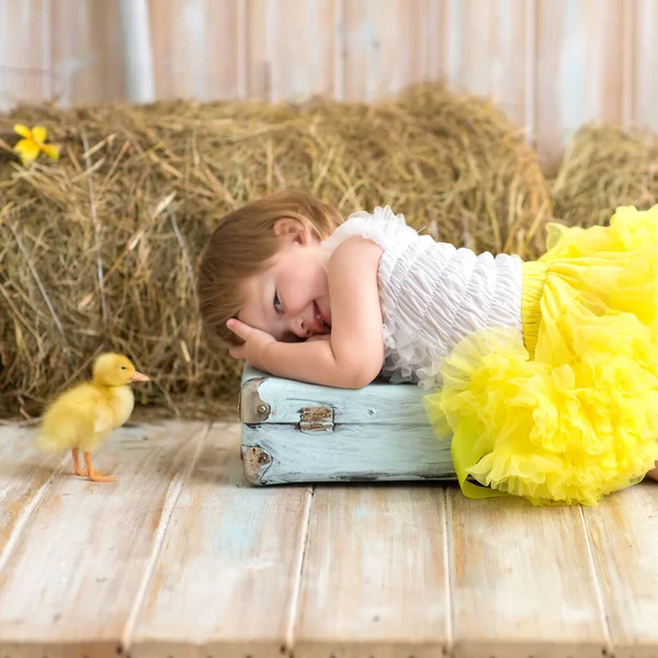 黄色のスカートの中の甘い女の子は非表示に再生され ガチョウと干し草の山に座って求める 動物と子供の概念 スタジオ — ストック写真