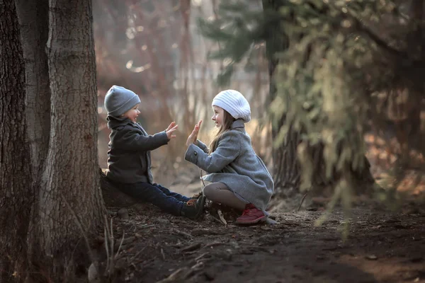 Frère Sœur Manteau Gris Chapeau Sous Arbre Jouant Les Uns — Photo