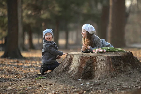 Pojke Och Flicka Grå Rock Och Hatt Sitter Stubbe Och — Stockfoto