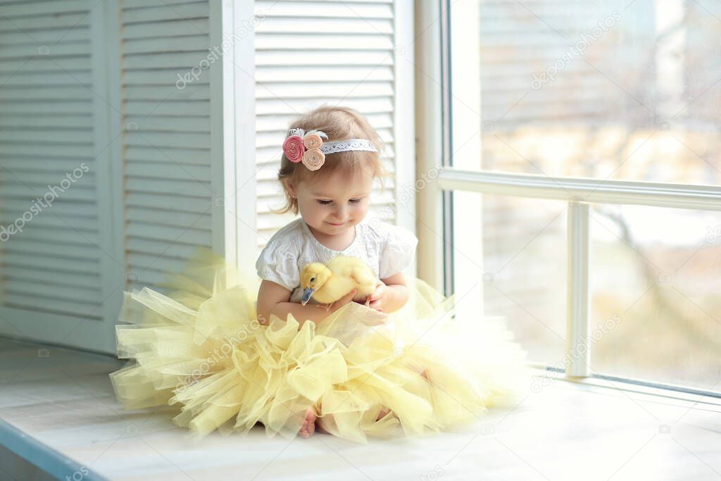 cheerful little girl in the lush yellow skirt and white blouse with decoration in her hair sitting near the window and holds a yellow duckling. Easter