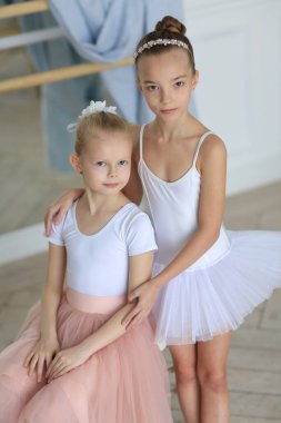 Pembe etekli iki güzel balerin bir bale sopasının yanında duruyor ve sarılıyorlar. Bale dersi. Çocuklar ve hobiler