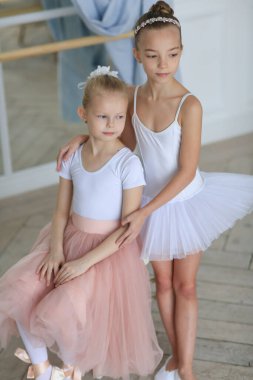 Pembe etekli iki güzel balerin bir bale sopasının yanında duruyor ve sarılıyorlar. Bale dersi. Çocuklar ve hobiler