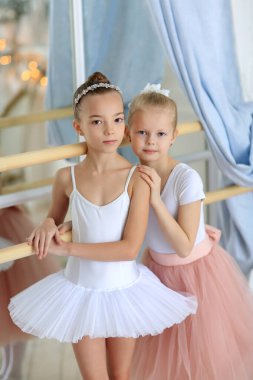 Pembe etekli iki güzel balerin bir bale sopasının yanında duruyor ve sarılıyorlar. Bale dersi. Çocuklar ve hobiler