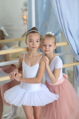 Pembe etekli iki güzel balerin bir bale sopasının yanında duruyor ve sarılıyorlar. Bale dersi. Çocuklar ve hobiler