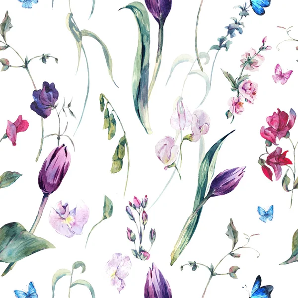 Watercolor Seamless Background with Sweet Peas, Tulips — Zdjęcie stockowe