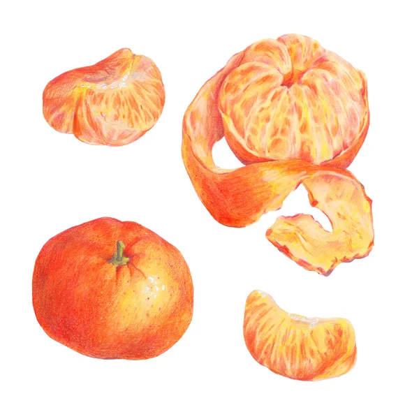 Hand drawn fruit set isolated on a white — Stock Fotó