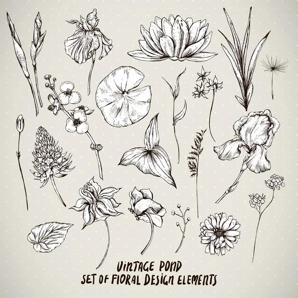 Set of vintage pond water flowers vector elements — Vetor de Stock