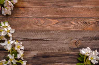 Blossoming apple tree on a wooden background, Black  template