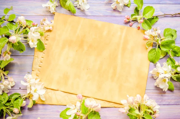 Blossoming apple tree on a wooden background, Blank template — ストック写真