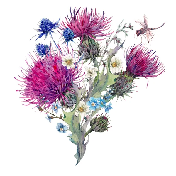Summer watercolor greeting card with wild flowers, thistles, dan