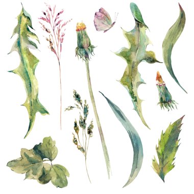 Vintage suluboya buket çiçegi ayarla