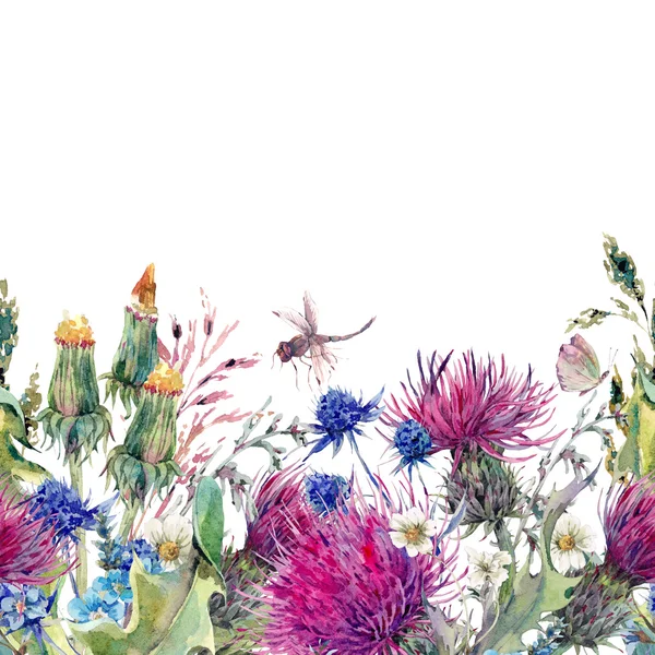 Zomer aquarel naadloze floral grens met wilde bloemen — Stockfoto