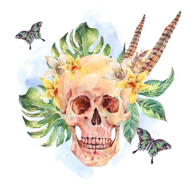 Watercolor skull, tropical leaves, flowers, butterflies and feat — Stockfoto