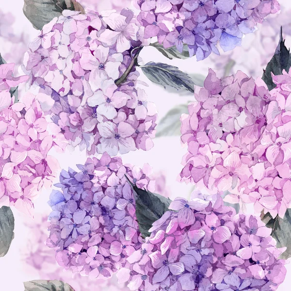 Aquarel naadloze patroon met hortensia — Stockfoto