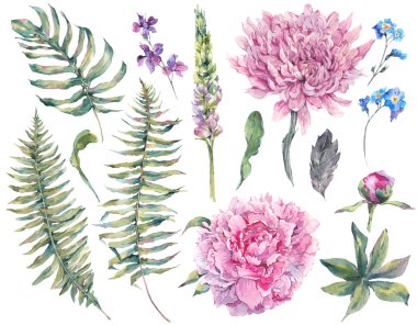 Suluboya çiçek açan çiçekler unsurları ayarla