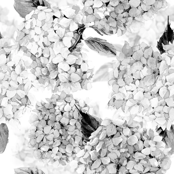 Aquarel naadloze patroon met hortensia — Stockfoto