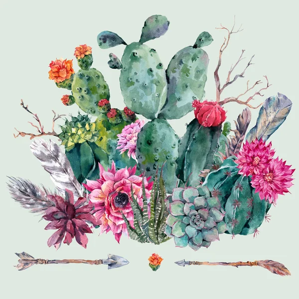 Aquarelle cactus, succulent, fleurs — Photo