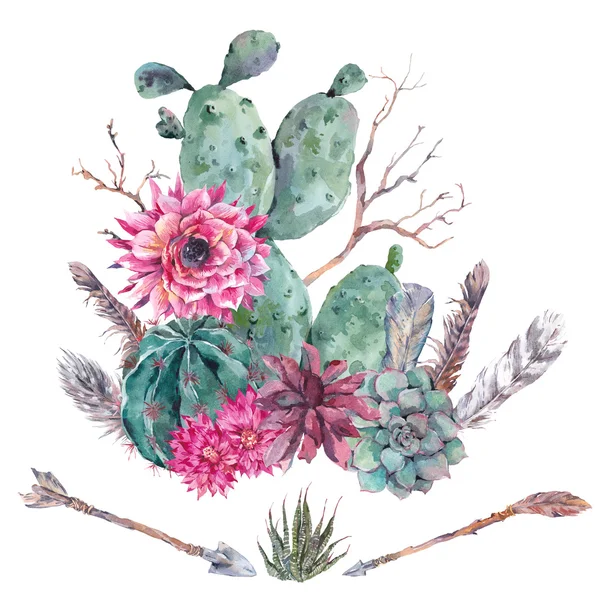 Cactus acquerello, succulento, fiori — Foto Stock