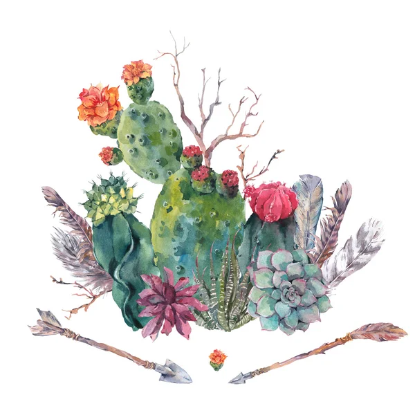 Aquarelle cactus, succulent, fleurs — Photo