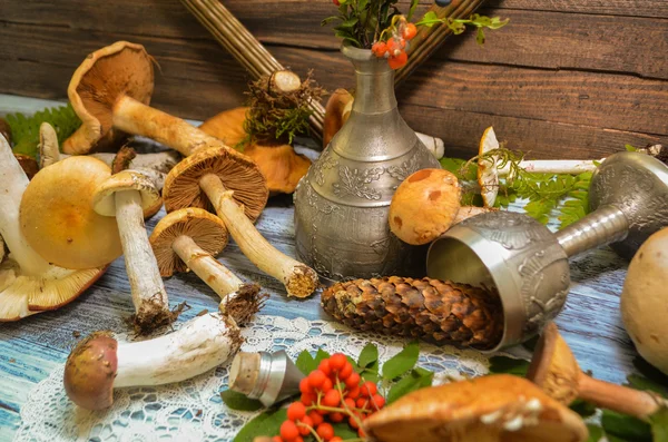 Pilze auf rustikalem Holzgrund — Stockfoto