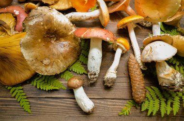 Rustik ahşap arka plan üzerinde mantar