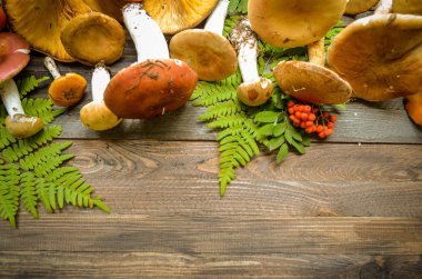 Rustik ahşap arka plan üzerinde mantar