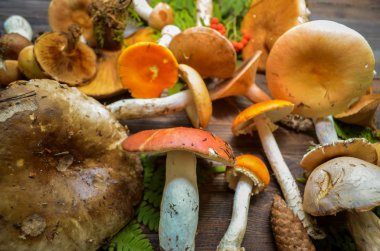 Rustik ahşap arka plan üzerinde mantar