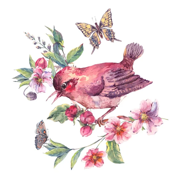 Cartão floral aquarela, pássaro em um ramo florescendo — Fotografia de Stock