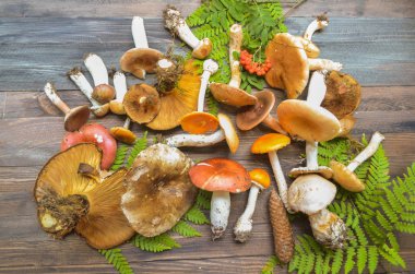 Rustik ahşap arka plan üzerinde mantar