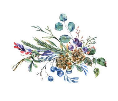 Suluboya mavi kış çiçekleri, kır çiçekleri. Klasik botanik tebrik kartı. Orman çiçekleri beyaz arkaplanda izole edilmiş..