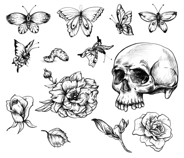 Vintage Goth Skull Design Element Set Butterdlies Flowers Isolated White — Stock Photo, Image