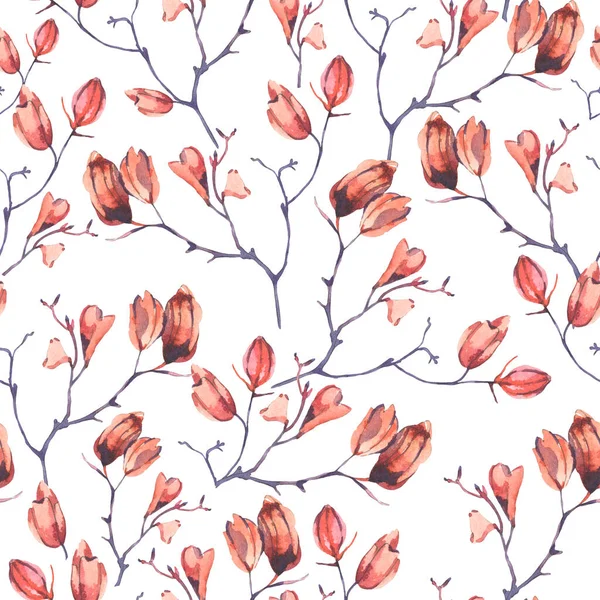 Watercolor Vintage Pattern Dry Branches Natural Floral Texture White Background — Stock Photo, Image