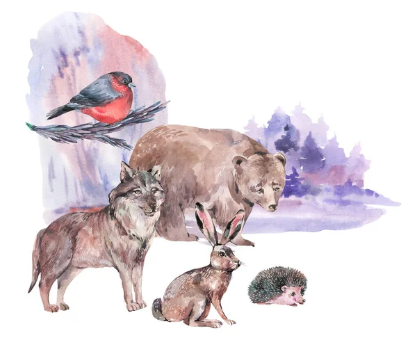 Akvarel Zimní Lesní Zvířata Medvěd Vlk Zajíc Ježek Izolovaný Bílém — Stock fotografie