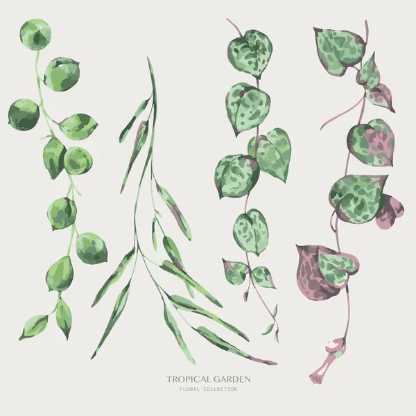 Vector Aquarel Tropisch Groen Blad Groen Illustratie Botanische Wenskaart — Stockvector