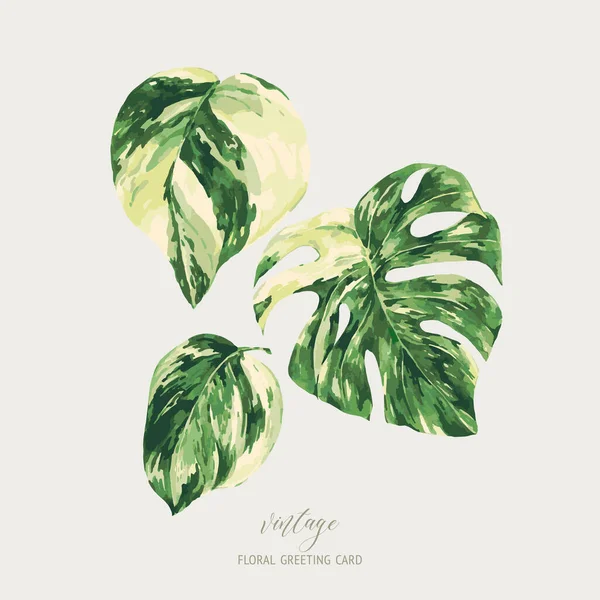 Vector Watercolor Tropical Green Leaves Monstera Variegated Greenery Illustration Botanical — Stock Vector