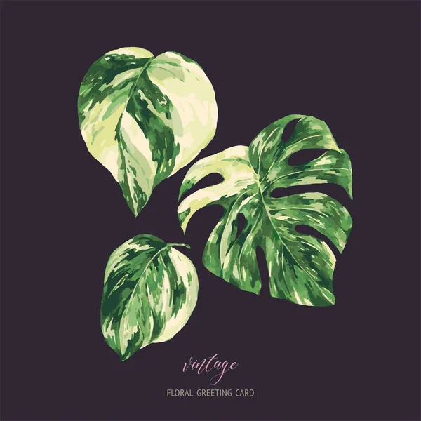 Vetor Aquarela Tropical Folhas Verdes Monstera Variegated Greenery Illustration Cartão — Vetor de Stock